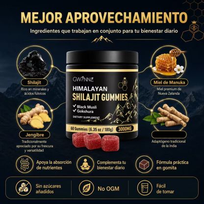 Gwynne Shilajit Gummies 3000mg Para Hombres Y Mujeres 60 Gummies: Shilajit Gummies Puro Del Himalaya Ácido Fúlvico Y 85+ Oligoelementos Sin Azúcar Añadido