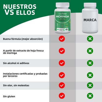60 Cápsulas Gwynne Moringa Super Alimento Verde Puro Frasco Con Sin Sabor