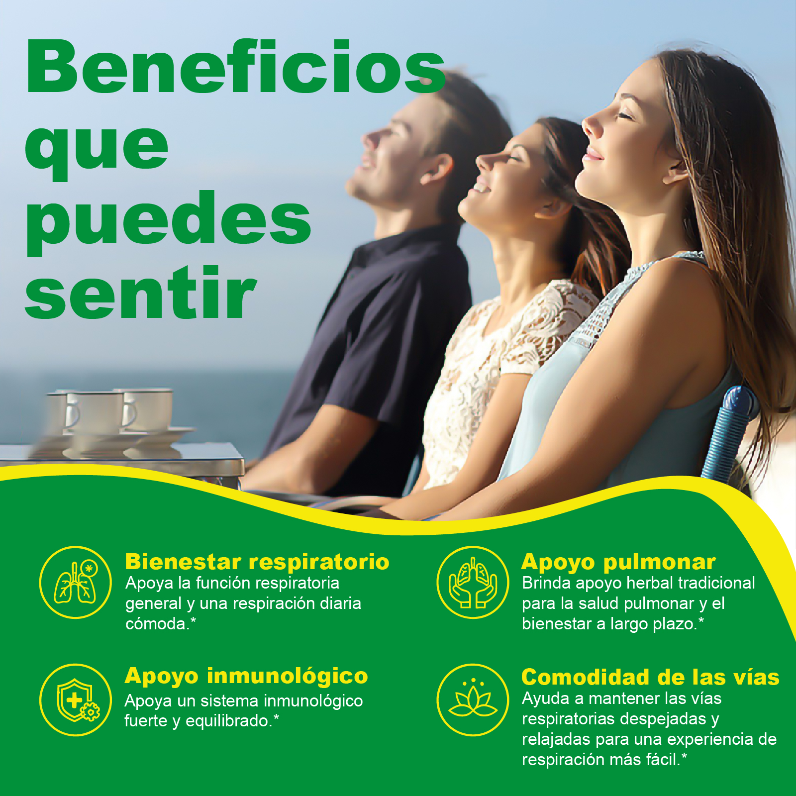 Gwynne Pulmonar Limpieza Suplemento,para Limpieza Pulmonar Y Apoyo Respiratorio Natural,con Marrubio,quercetina Y Hoja De Olivo,respira Libremente Y Fortalece Tu Sistema Inmunológico,60 Cápsulas