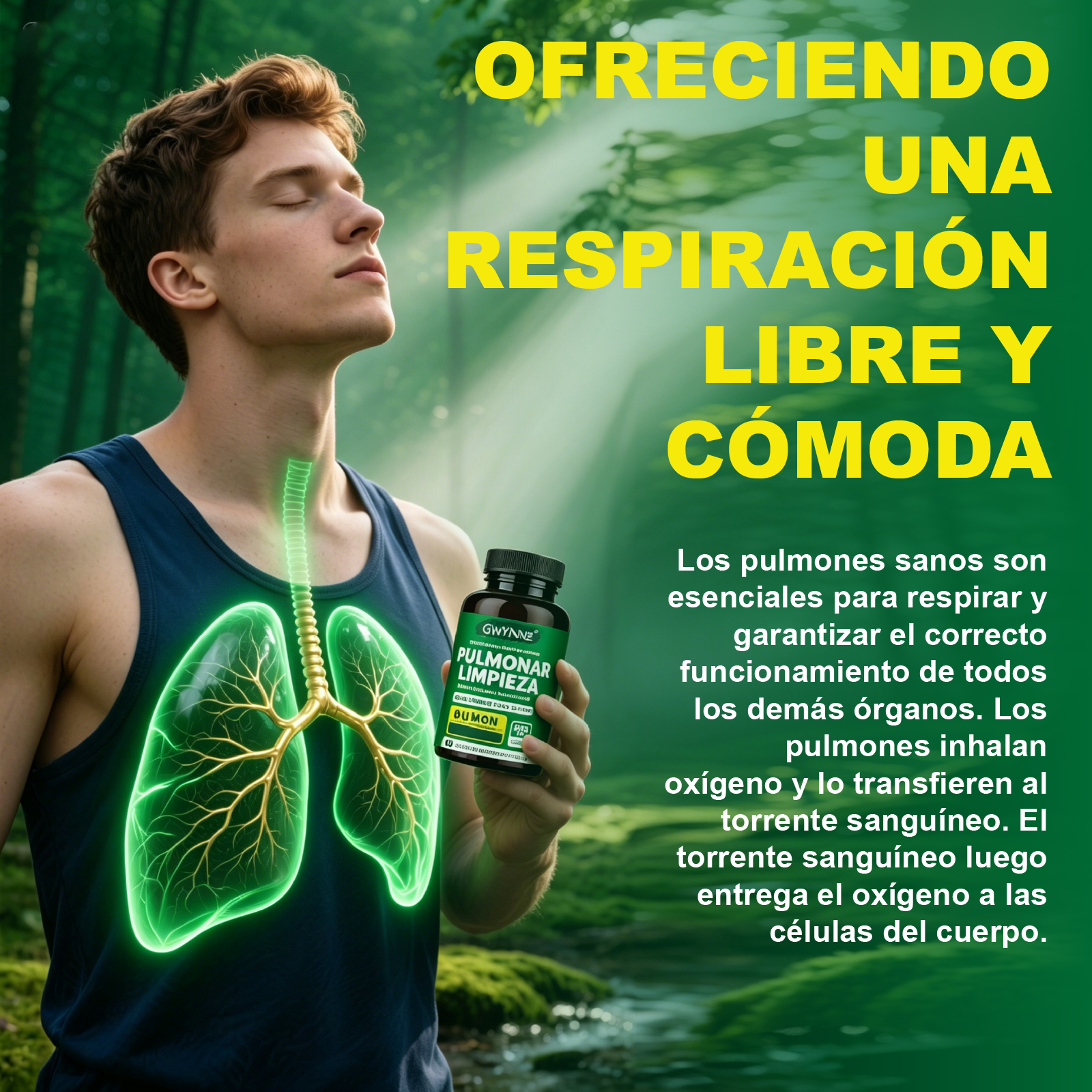 Gwynne Pulmonar Limpieza Suplemento,para Limpieza Pulmonar Y Apoyo Respiratorio Natural,con Marrubio,quercetina Y Hoja De Olivo,respira Libremente Y Fortalece Tu Sistema Inmunológico,60 Cápsulas