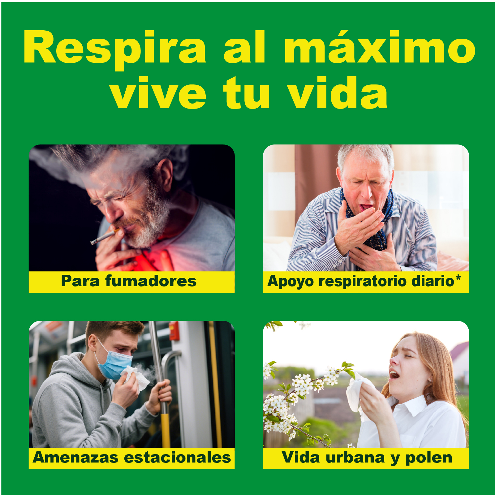 Gwynne Pulmonar Limpieza Suplemento,para Limpieza Pulmonar Y Apoyo Respiratorio Natural,con Marrubio,quercetina Y Hoja De Olivo,respira Libremente Y Fortalece Tu Sistema Inmunológico,60 Cápsulas