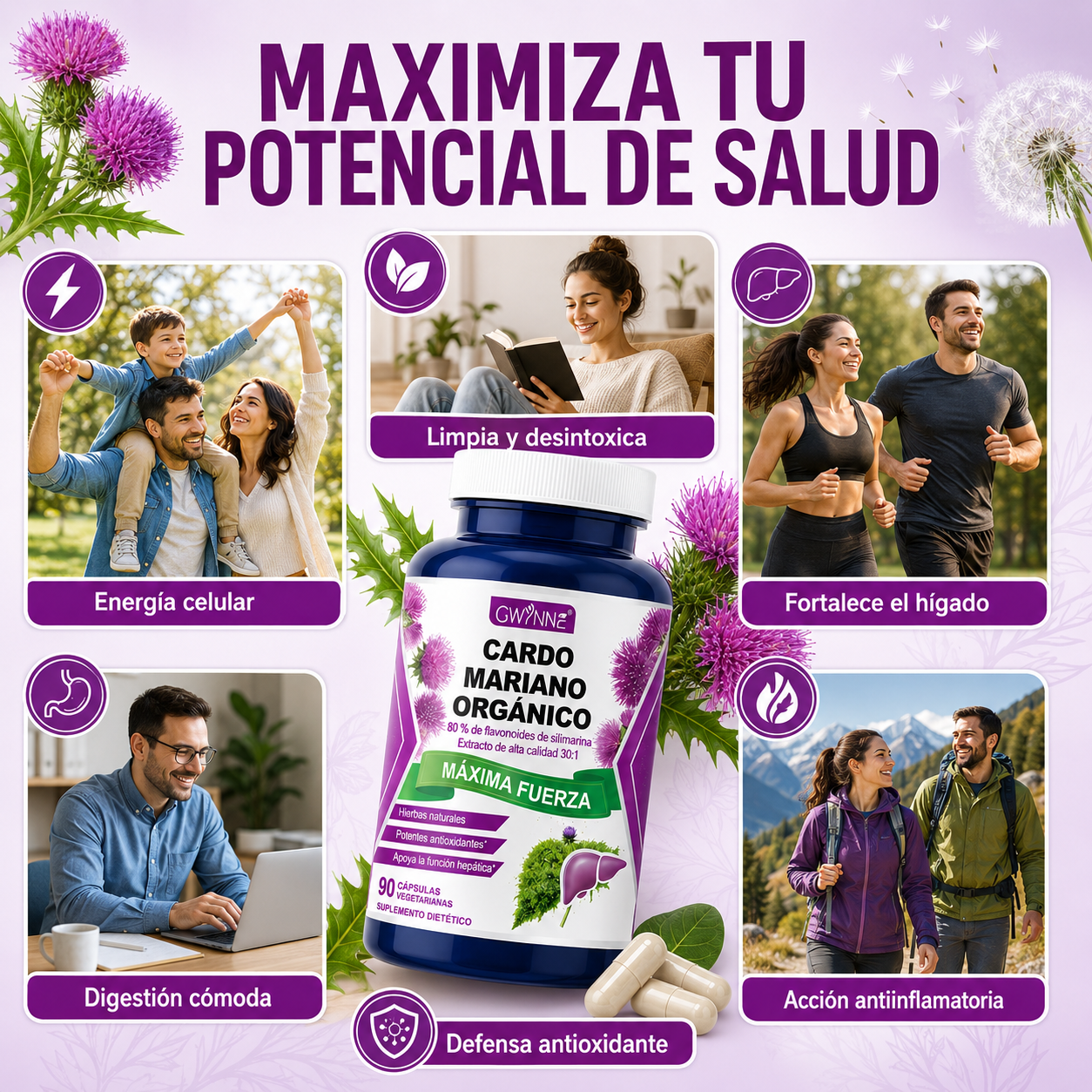 Gwynne Cardo Mariano Orgánico Cápsulas,silymarin Milk Thistle 30:1 Extracto,apoyo A La Desintoxicación Y Reparación Del Hígado,apoyo A Los Antioxidantes,muscular Y Óseo,90 Cápsulas