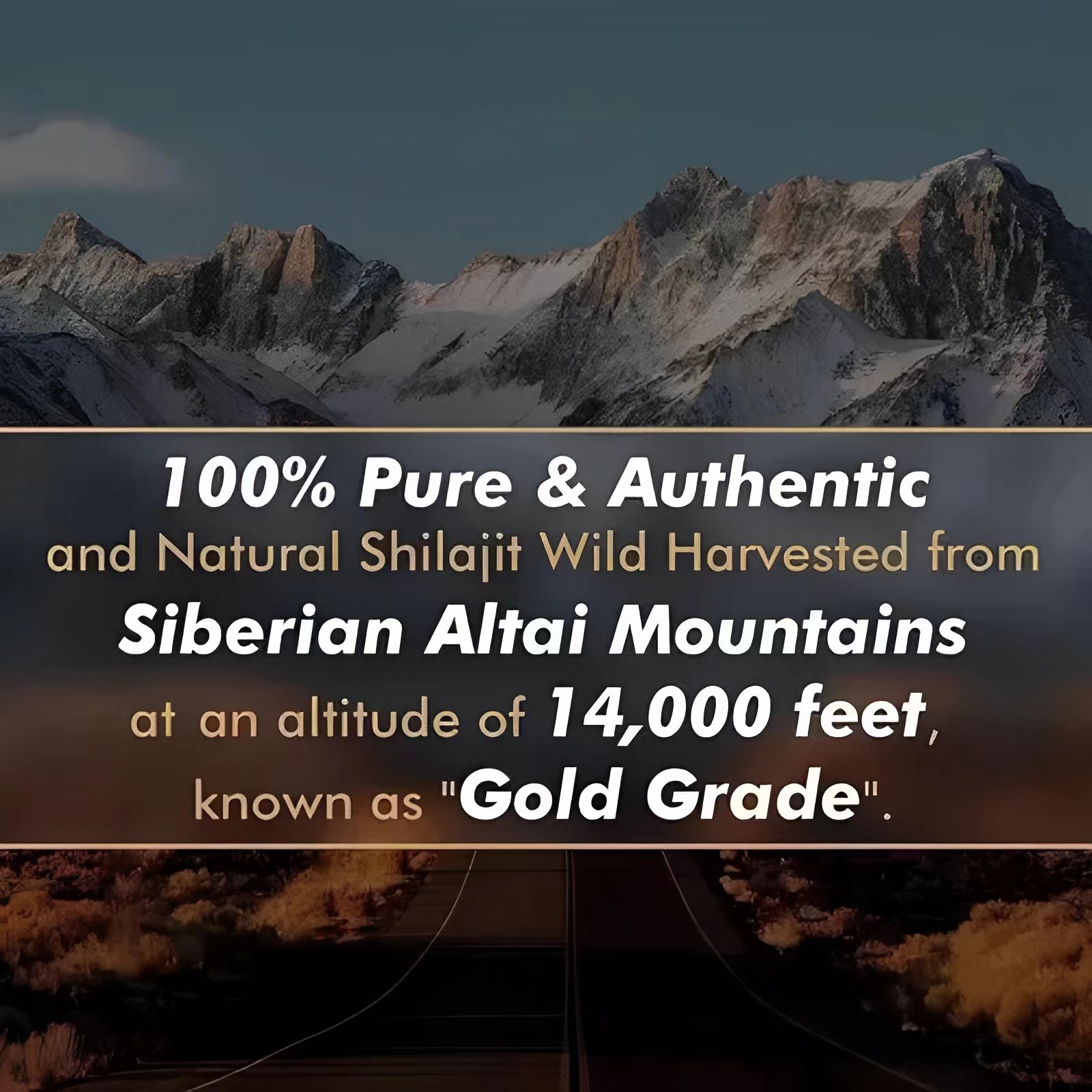 GWYNNE Shilajit Resina Ntural Pura Orgánica Del Himalaya 600g 4pcs Color Fix