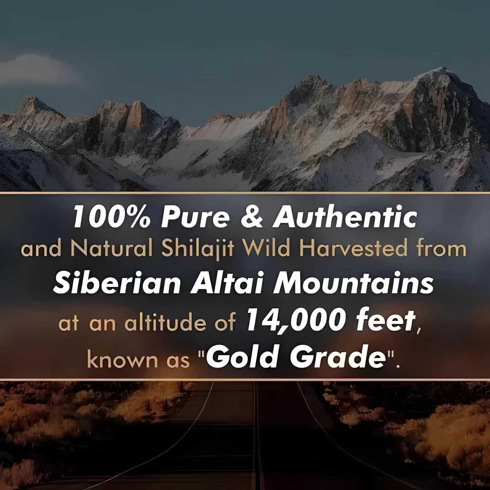 GWYNNE Shilajit Resina Ntural Pura Orgánica Del Himalaya 600g 4pcs Color Fix