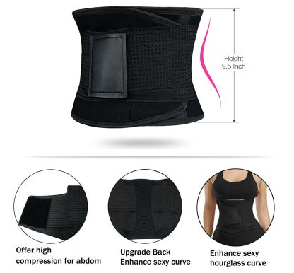  Waist Trainer Belt for Women - Waist Trimmer Weight Loss Ab Belt Sport Workout Back Support Girdle Belt (Updated)