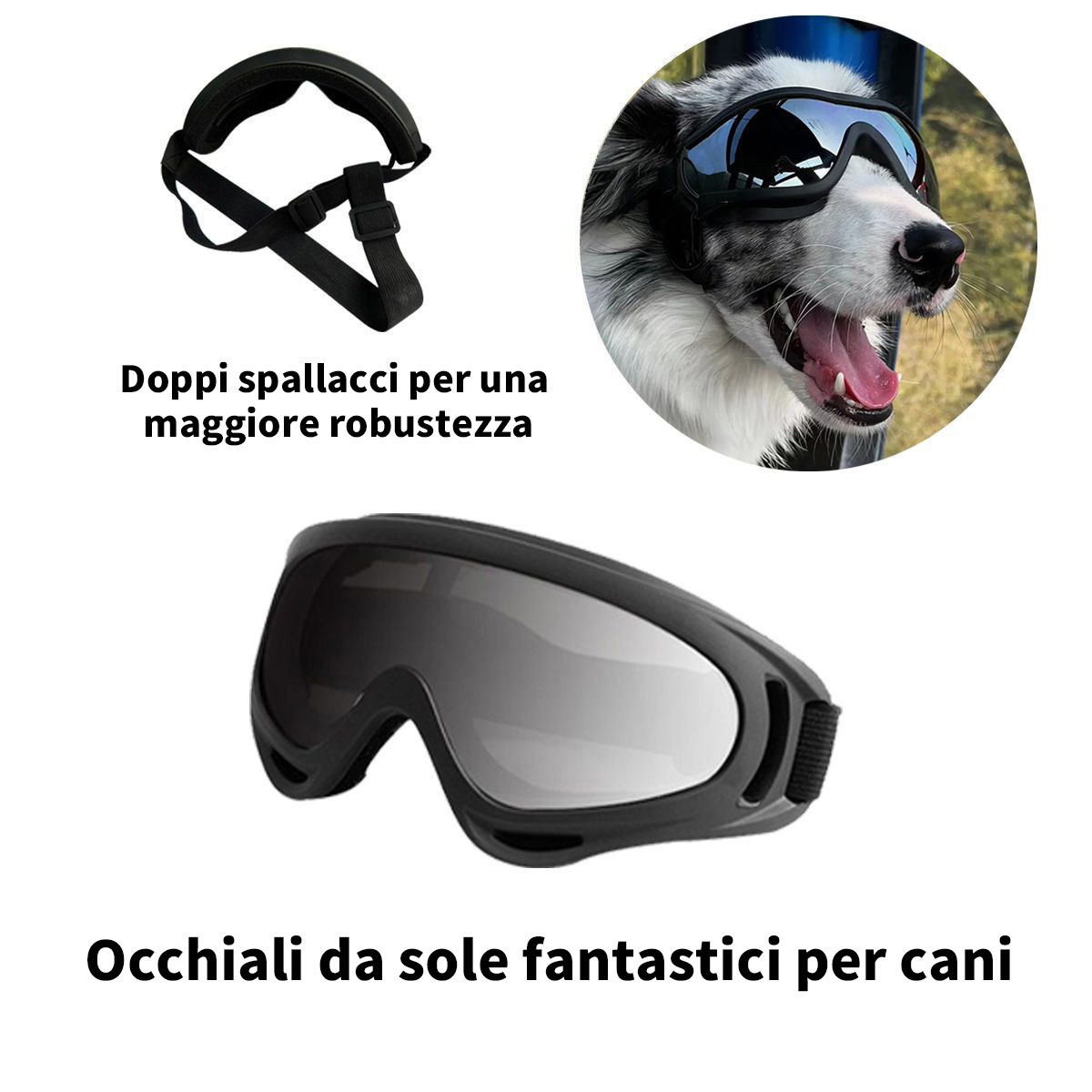 Occhiali da sole antivento per cani, occhiali per animali domestici, m