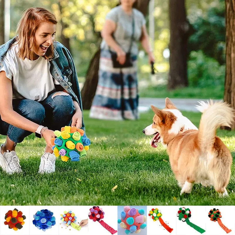 Giocattolo da masticare per cani