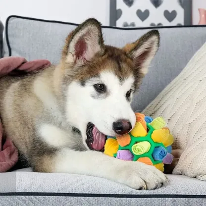Giocattolo da masticare per cani