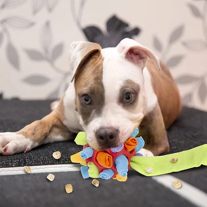 Giocattolo da masticare per cani