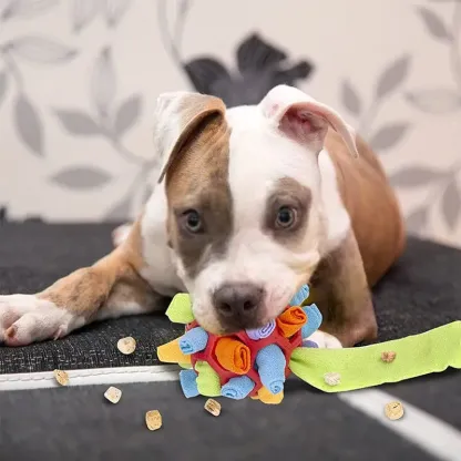 Giocattolo da masticare per cani