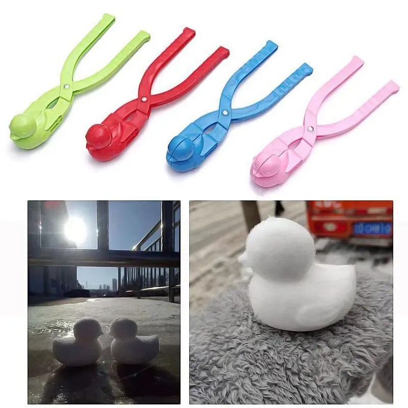 Clip di anatra delle nevi
