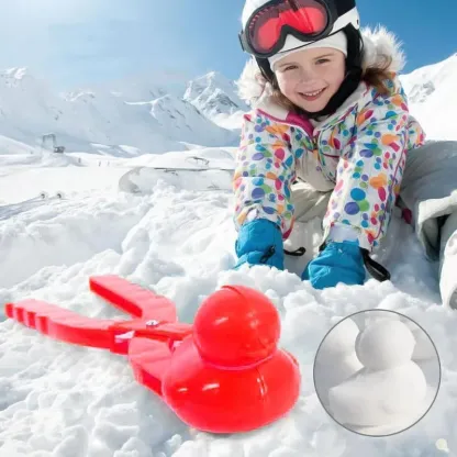 Clip di anatra delle nevi