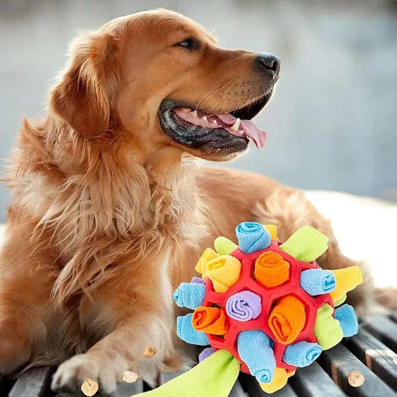 Giocattolo da masticare per cani