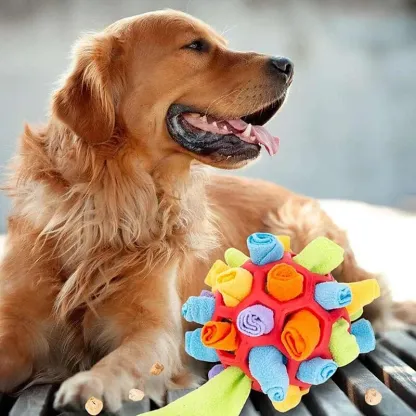 Giocattolo da masticare per cani