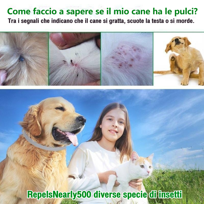 Collare antipulci e zecche Pro Guard per cani