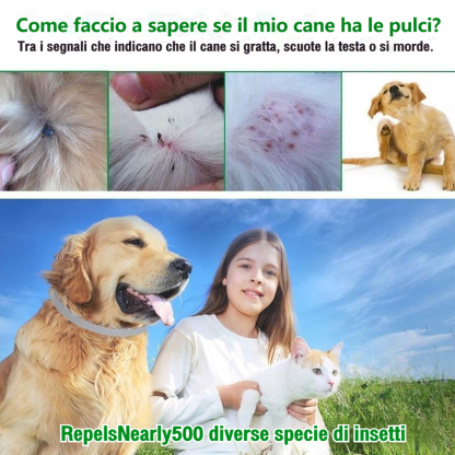 Collare antipulci e zecche Pro Guard per cani