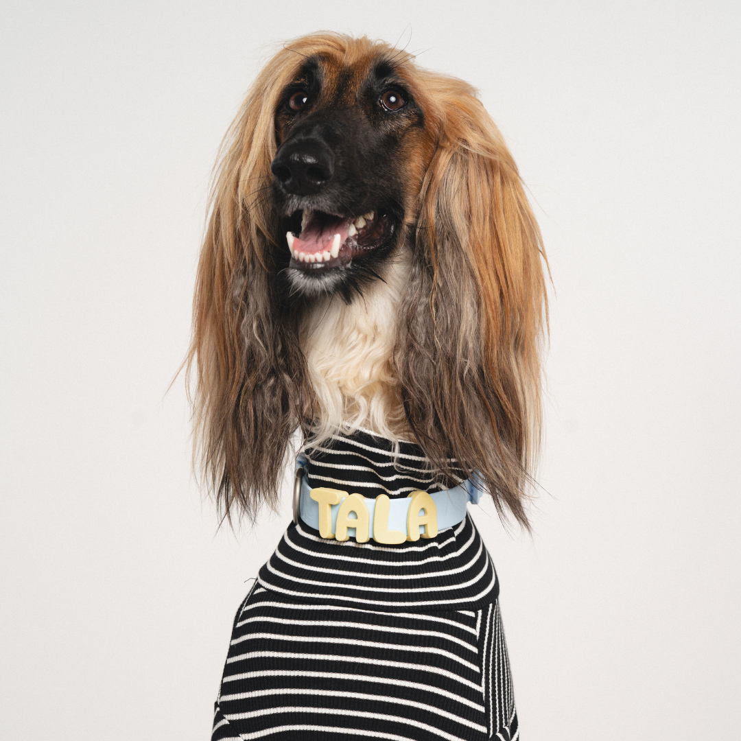 Silicone Dog Charms | Letters & Symbols for Personalized Dog Collars and Leashes - Butter Yellow