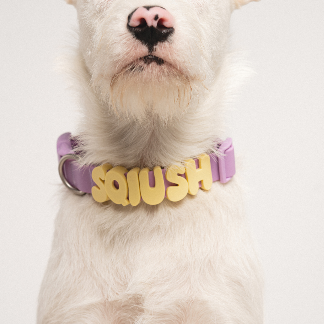 Silicone Dog Charms | Letters & Symbols for Personalized Dog Collars and Leashes - Butter Yellow