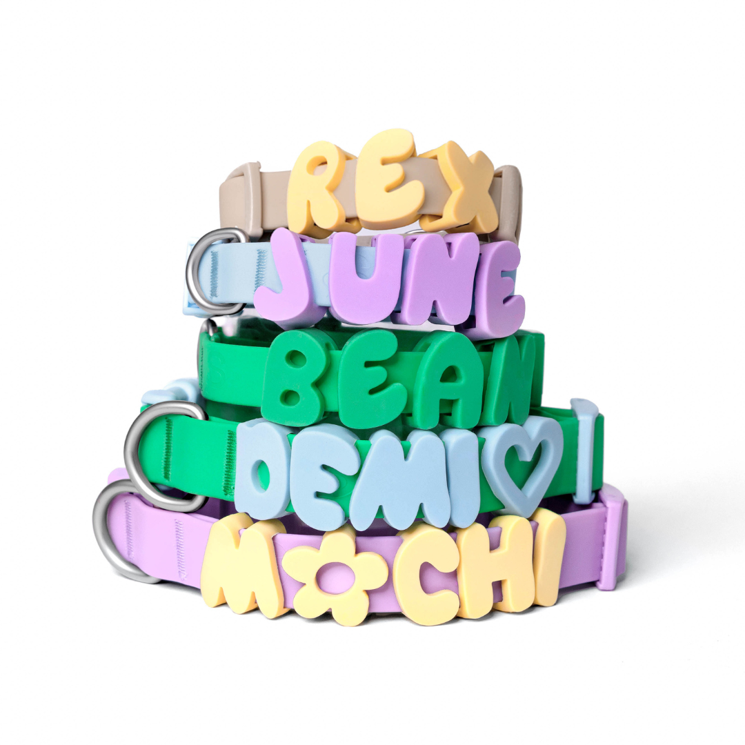 Silicone Dog Charms | Letters & Symbols for Personalized Dog Collars and Leashes - Butter Yellow