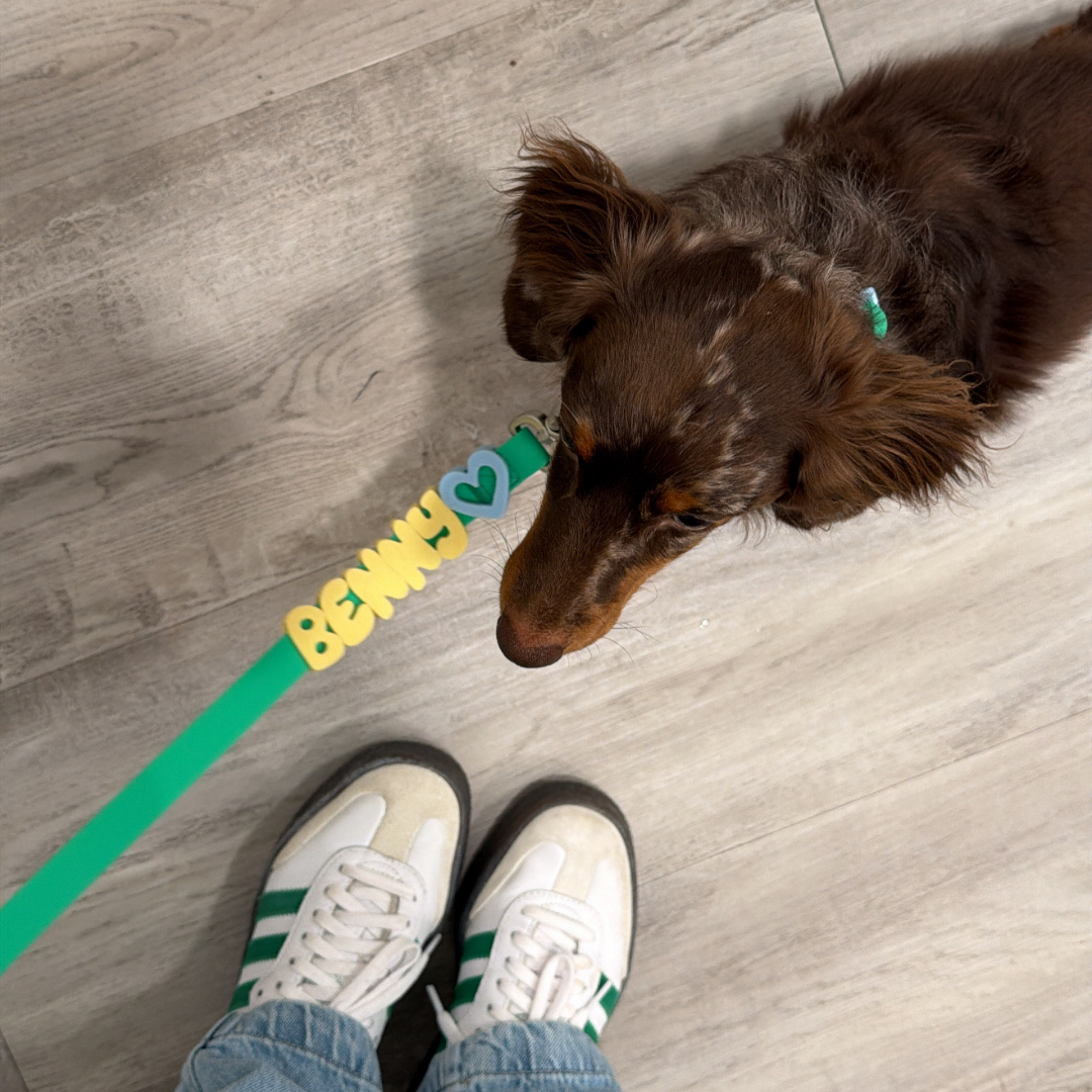 Silicone Dog Charms | Letters & Symbols for Personalized Dog Collars and Leashes - Butter Yellow