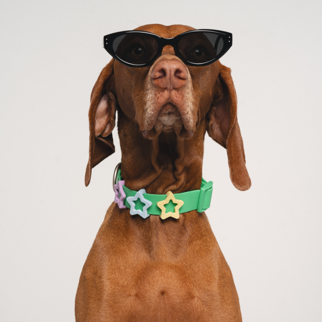 Silicone Dog Charms | Letters & Symbols for Personalized Dog Collars and Leashes - Butter Yellow