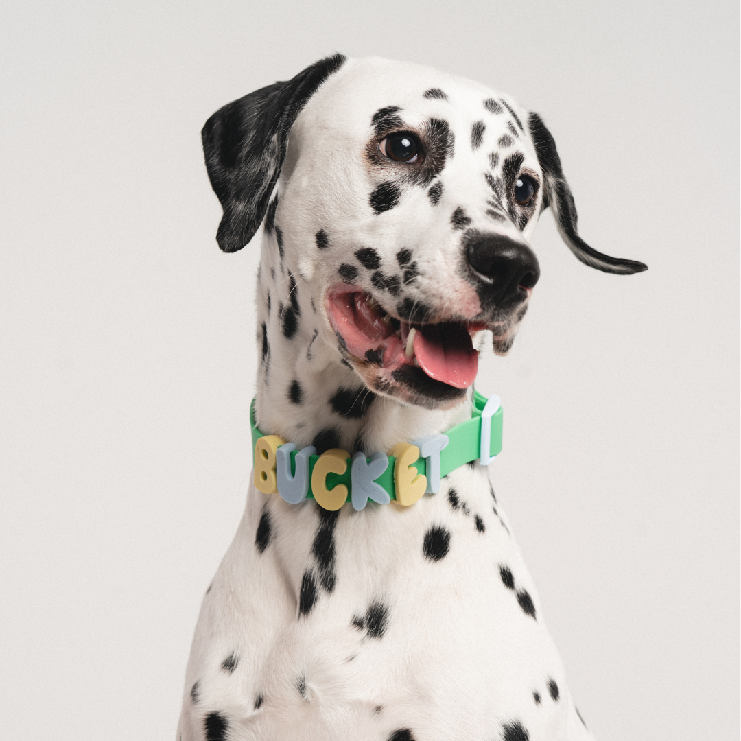 Silicone Dog Charms | Letters & Symbols for Personalized Dog Collars and Leashes - Butter Yellow