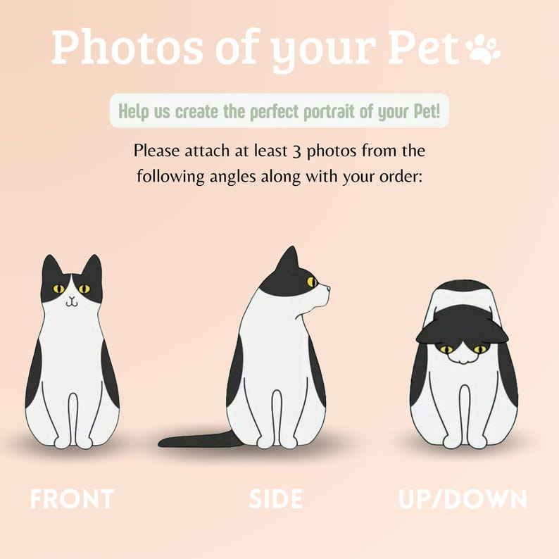 Custom Full-body Pet Figurines for Cats & Dogs