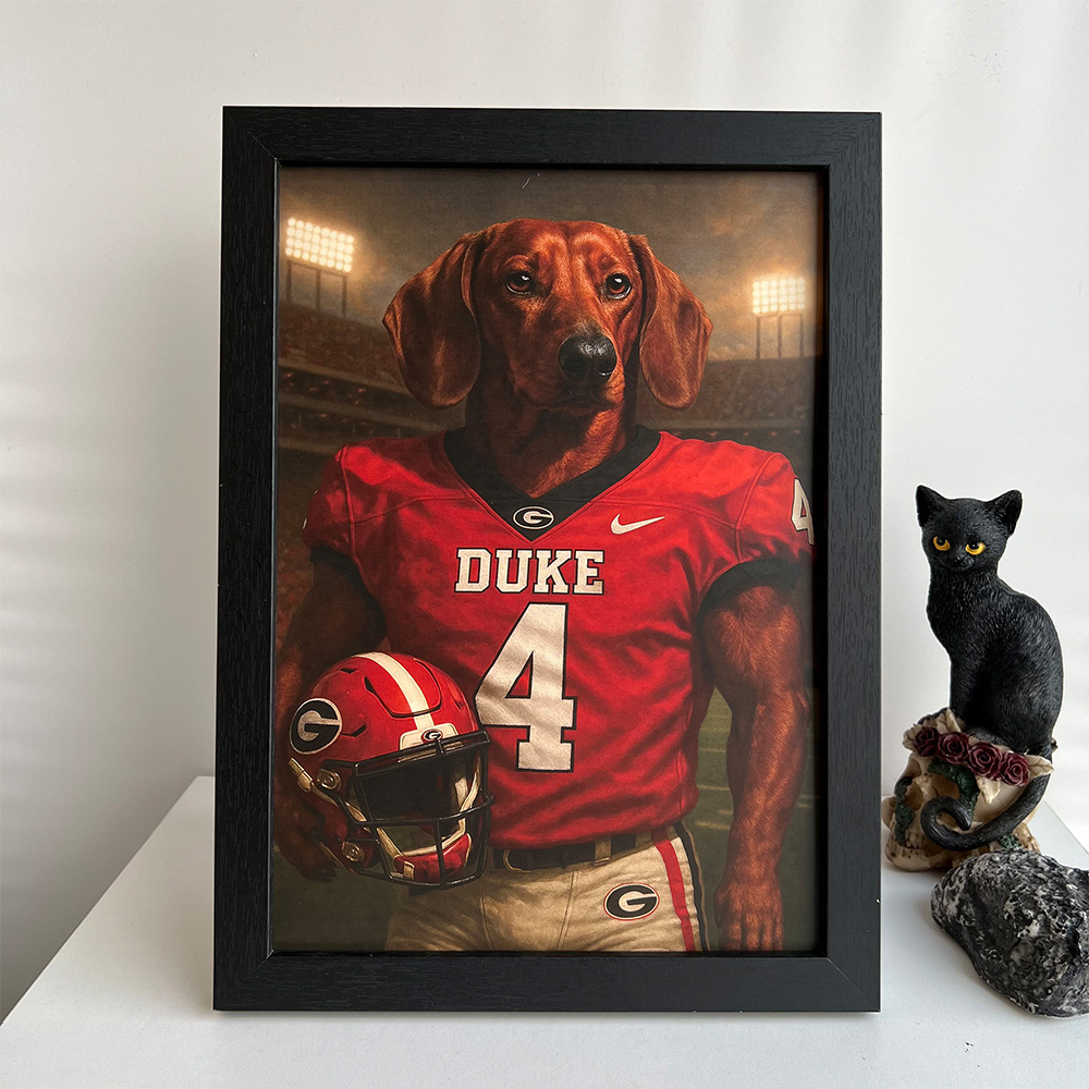 🏈Custom Pet Portrait Wall Art American Football Team NFL NCAA
