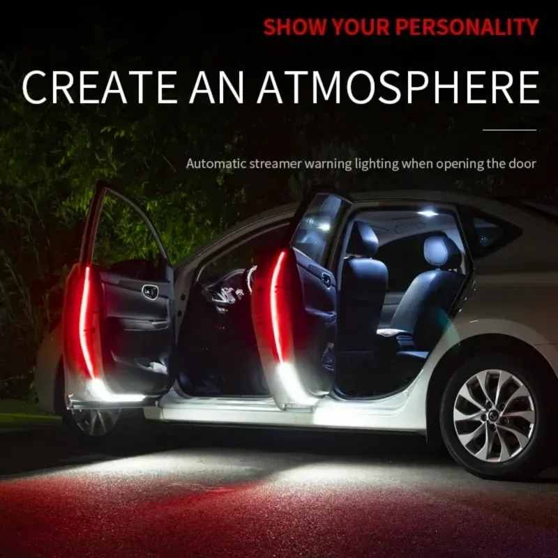 12V Car door lights