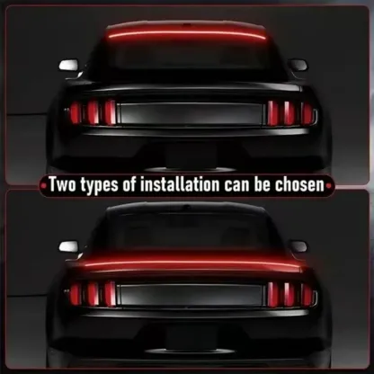 Carbon fiber car taillights