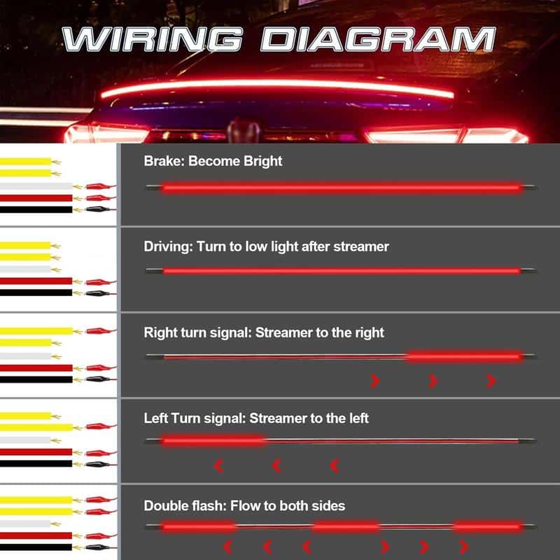 Through the taillights