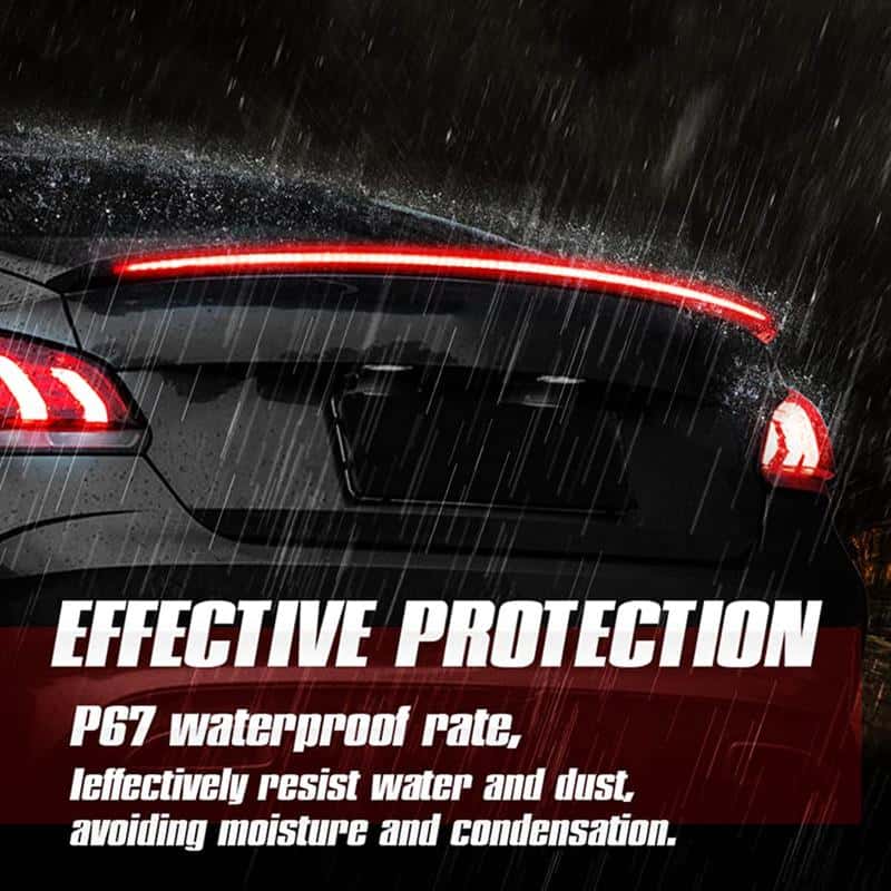 Through the taillights