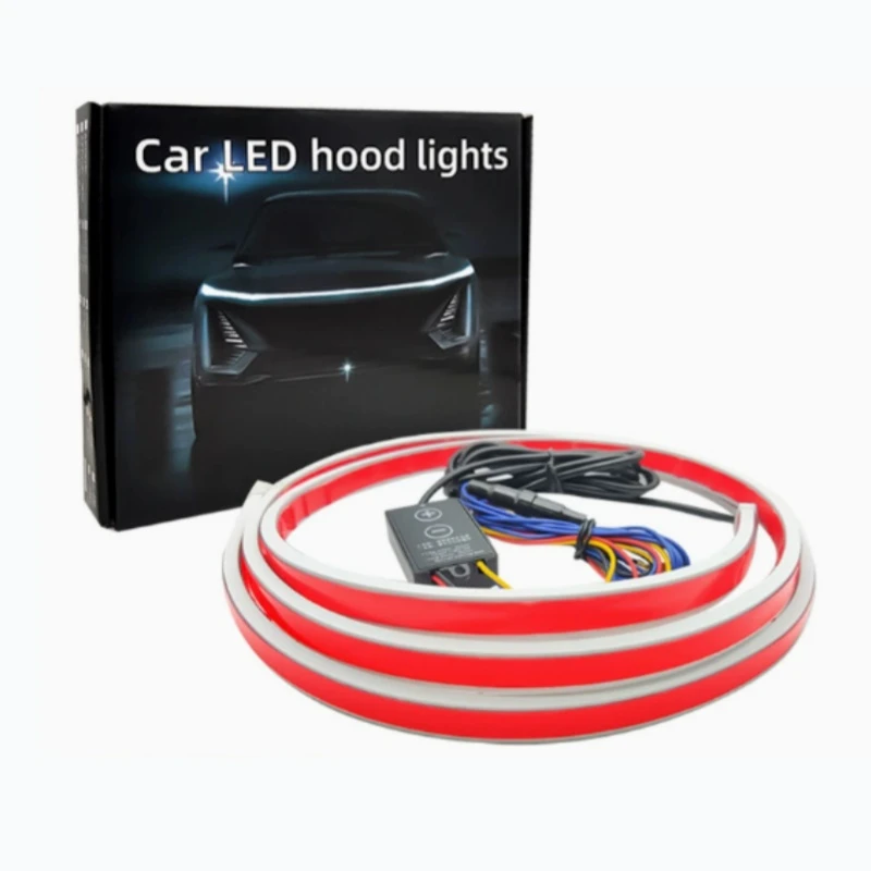 Car hood light, dual-color, dynamic