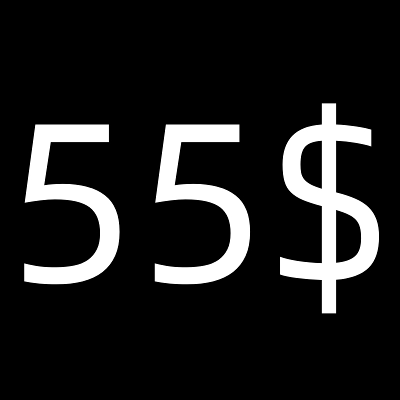 $55shipping fee