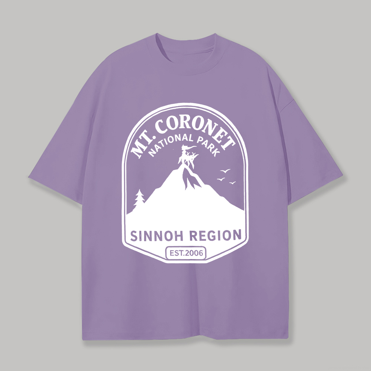 Mt. Coronet National Park Printed Unisex Oversized T-shirt Image - 5