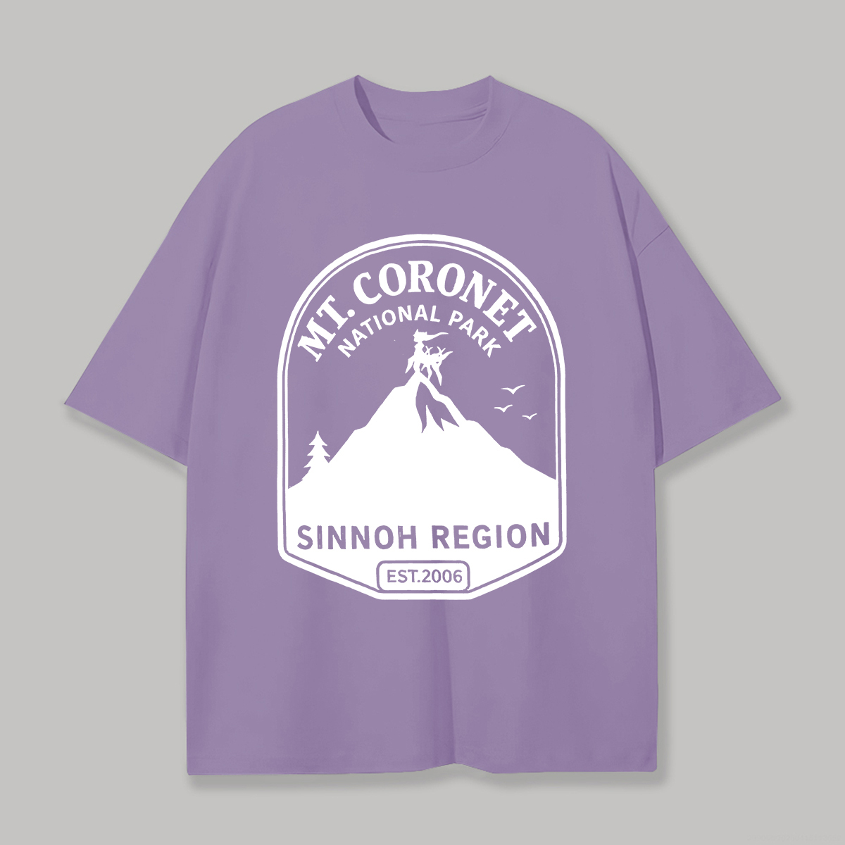 Mt. Coronet National Park Printed Unisex Oversized T-shirt Image - 5