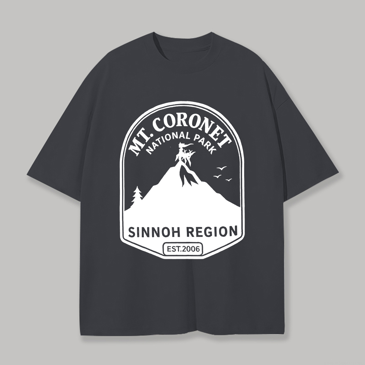 Mt. Coronet National Park Printed Unisex Oversized T-shirt Image - 9