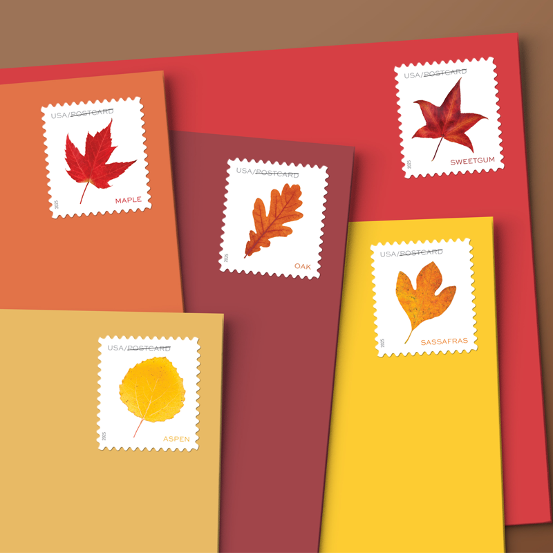 2025 Vibrant Leavea Postcard Forever First Class Postage Stamps