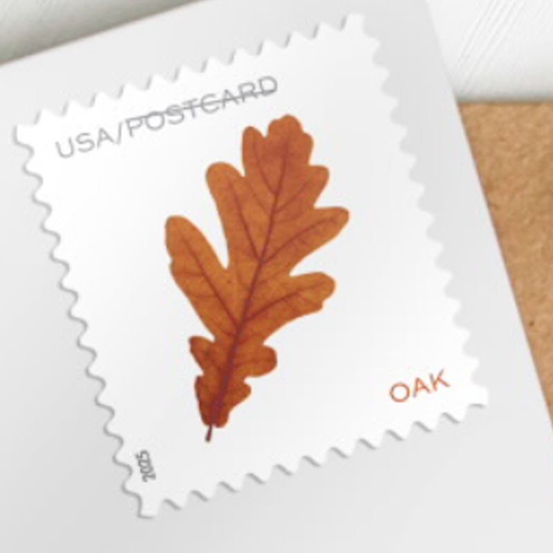 2025 Vibrant Leavea Postcard Forever First Class Postage Stamps