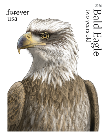 2026 Bald Eagle: Hatchling toAdult Forever First Class Postage Stamps