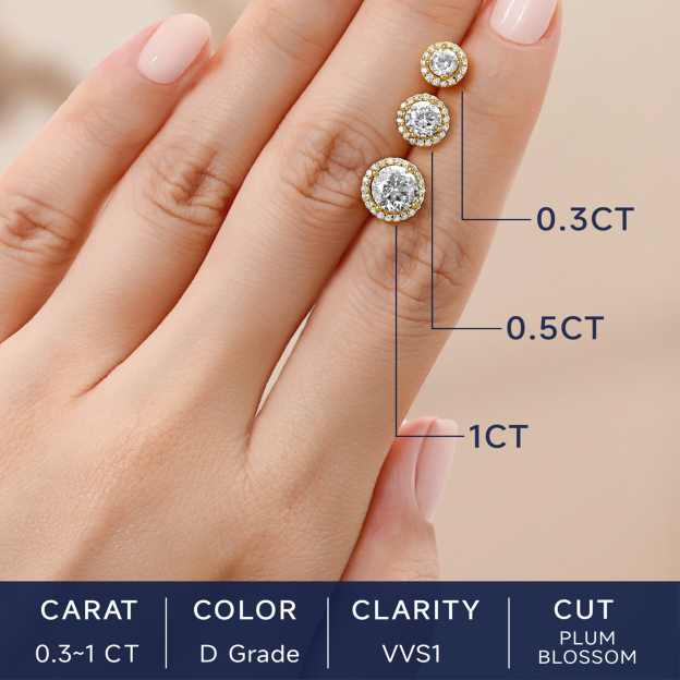 Halo Round Moissanite Stud Earrings in 14K Gold in Different Carats