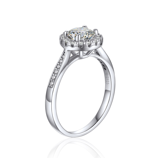 Halo Round Moissanite Engagement Rings in White Gold-02