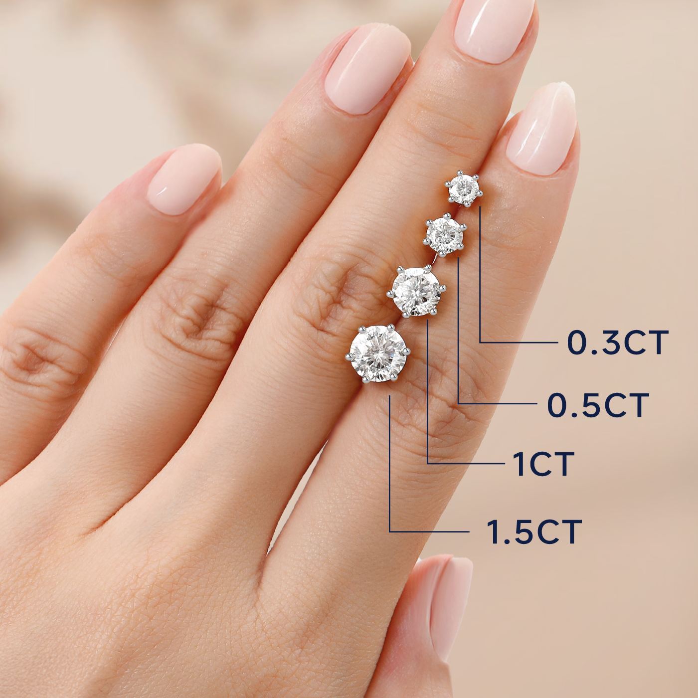 6 Prong Round Stud Moissanite Earrings in White Gold (D Color VVS1)