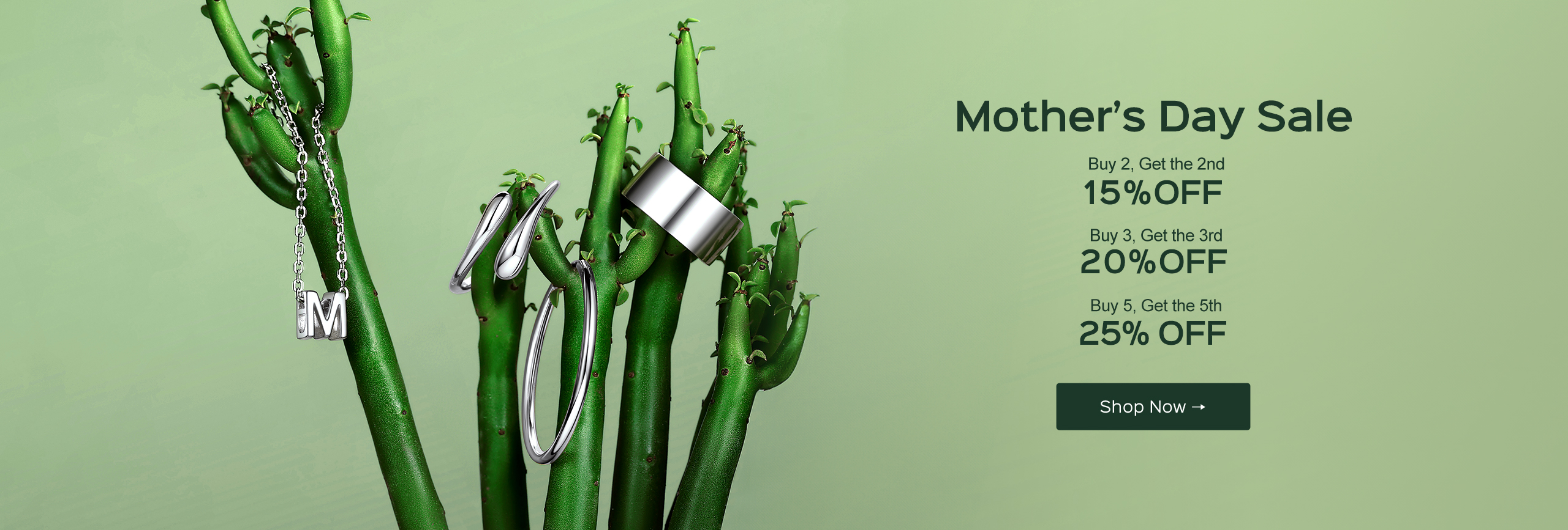 Mother's Day homepage banner of chicsilver.com(for pc)