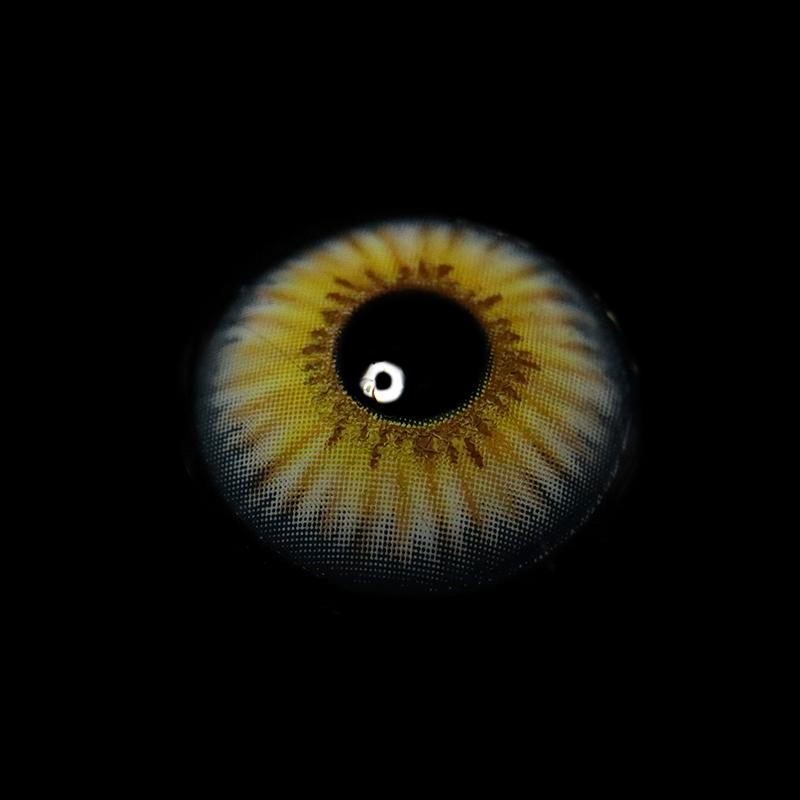 New York Rihanna | 1 Year