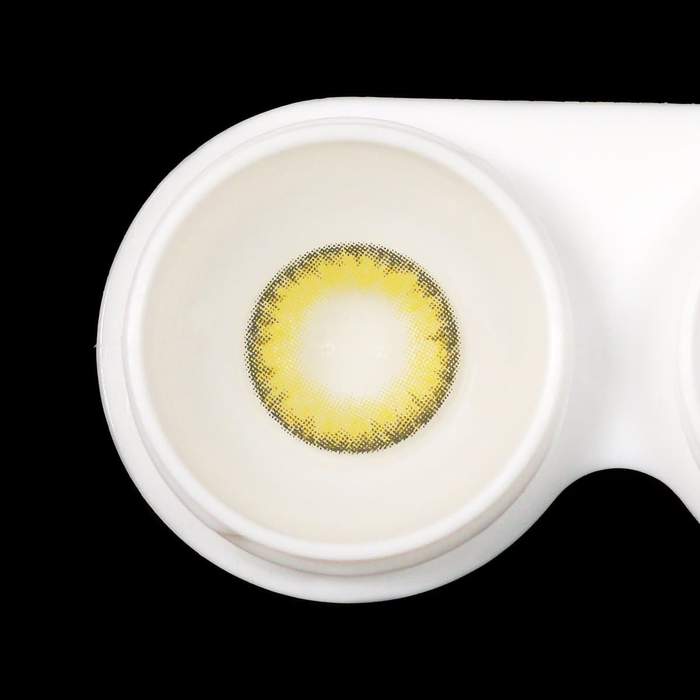 Pro Khaki Brown | 1 Year [Prescription]