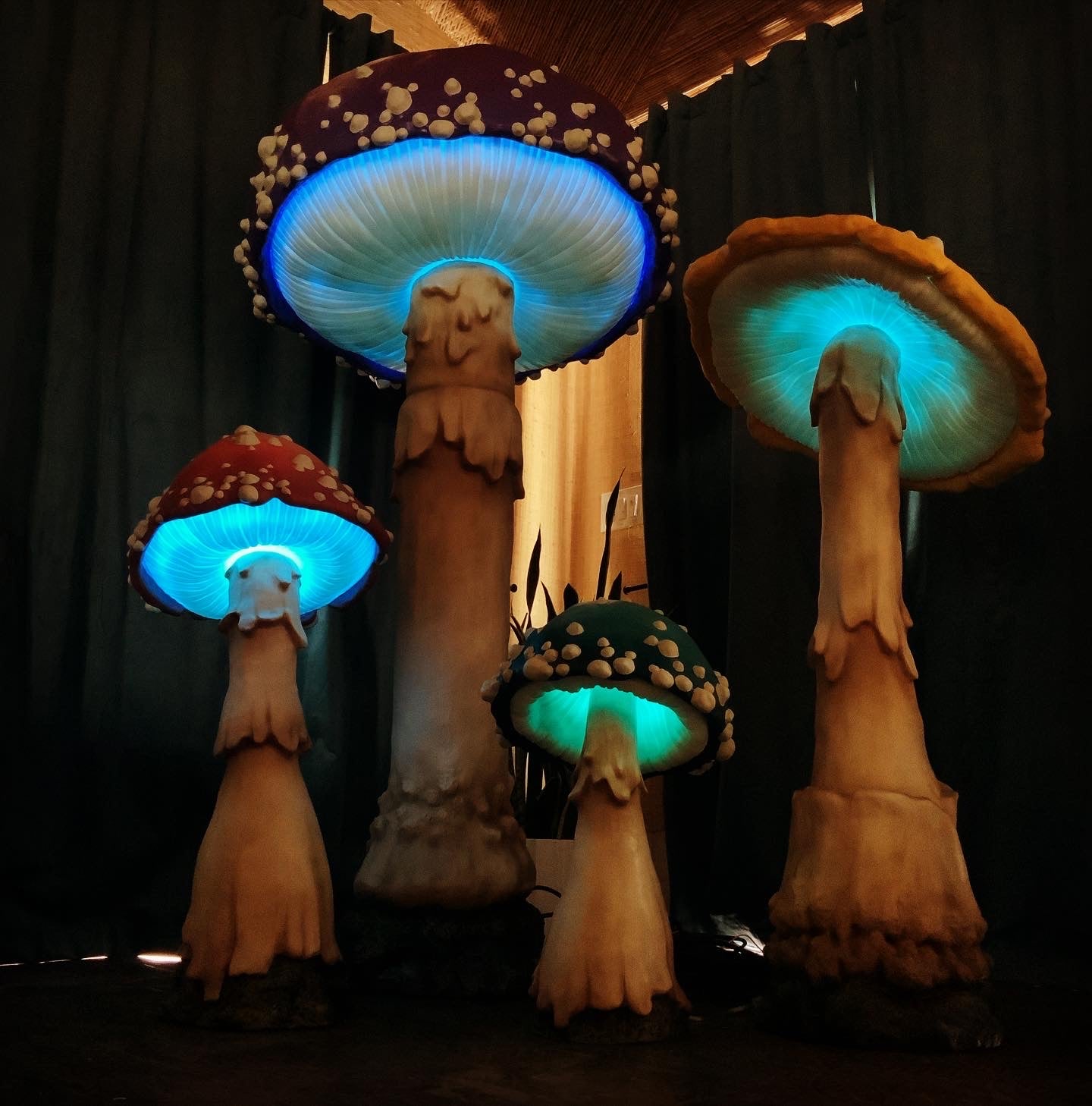 🔥2025 New Year Sale🔥LED Glowing Mushroom