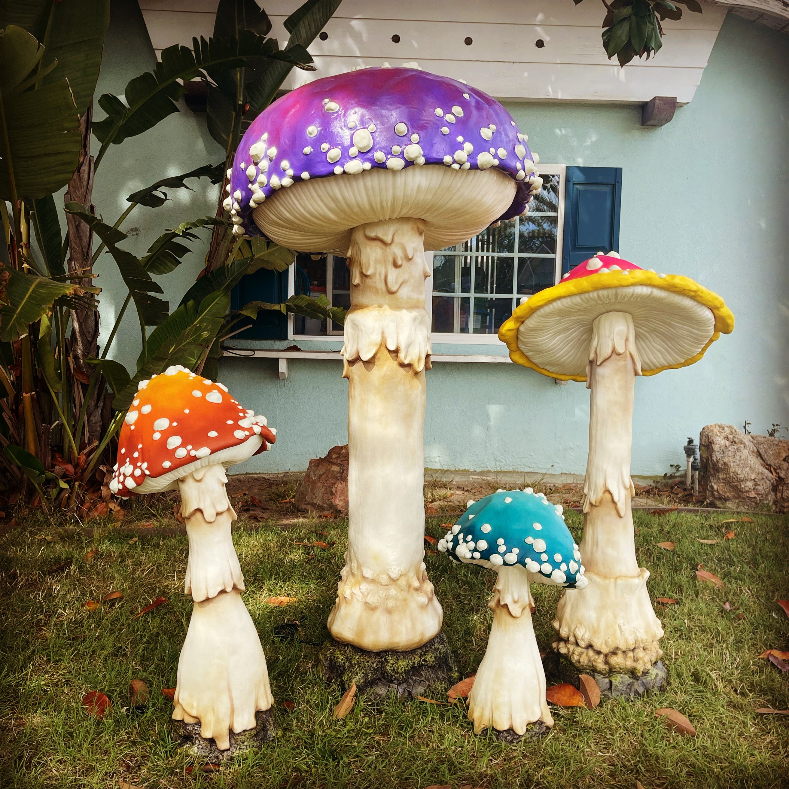 🔥2025 New Year Sale🔥LED Glowing Mushroom