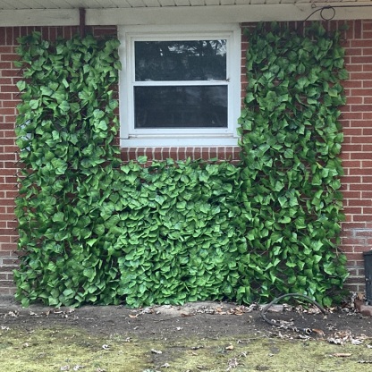 🔥50% OFF TODAY'S SPECIAL🔥EXPANDABLE FAUX PRIVACY FENCE