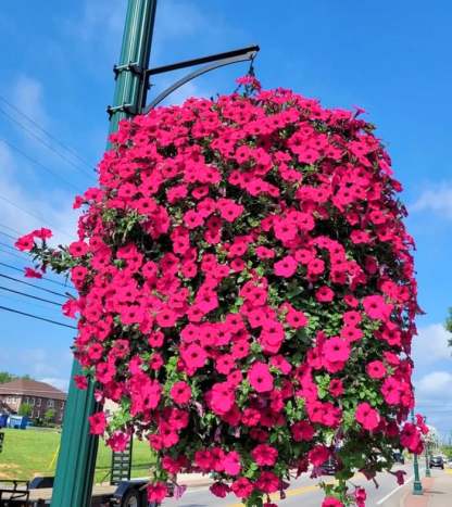 Last Day 70% OFF--💎UV Simulation Artificial flower